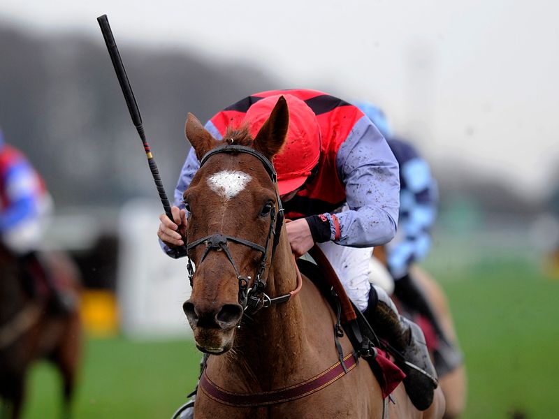 Ballyben makes a sparkling winning debut in the bumper
