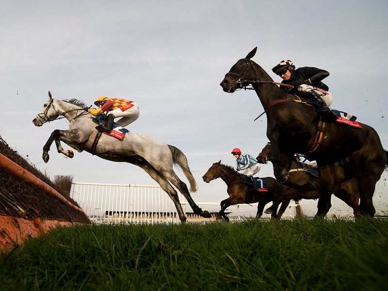 So onto the feature novice chase...