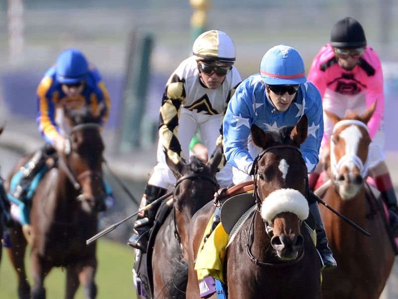 ...of the Juvenile Fillies' Turf