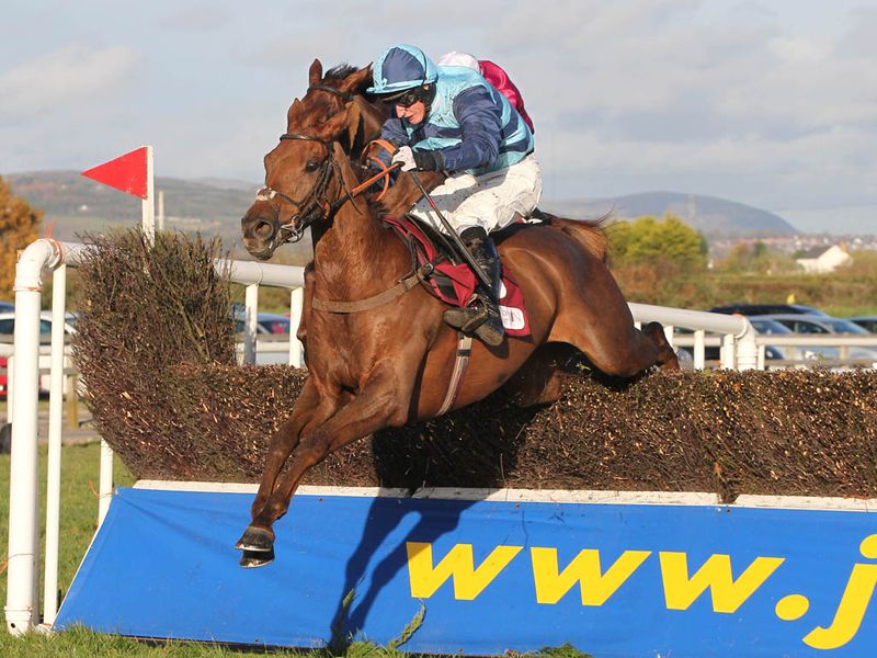 Kauto Stone wins the biggest race of the season at Down Royal