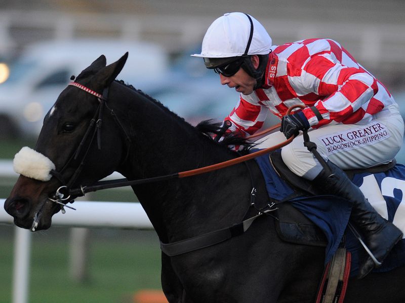Puffin Billy looks a horse of rich potential in the closing novice hurdle