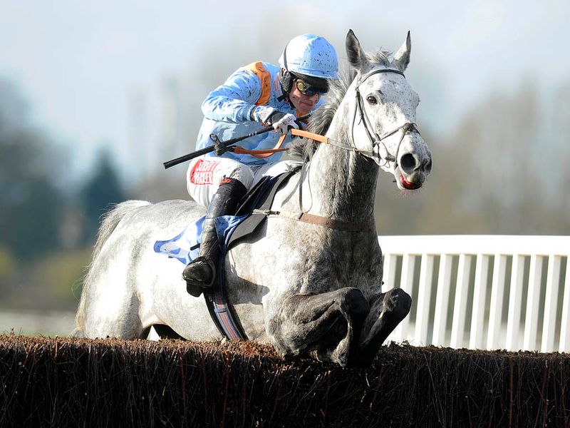 ...and Rose Of The Moon jumps his rivals ragged in the novice chase