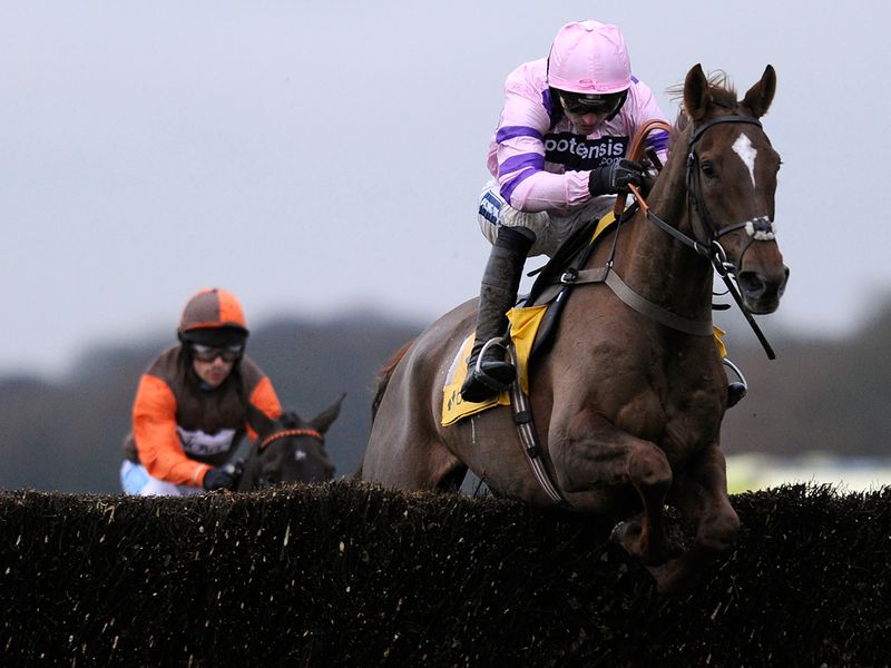 Favourite Long Run is soundly beaten into second