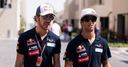 Toro Rosso - Rookies On The Rise