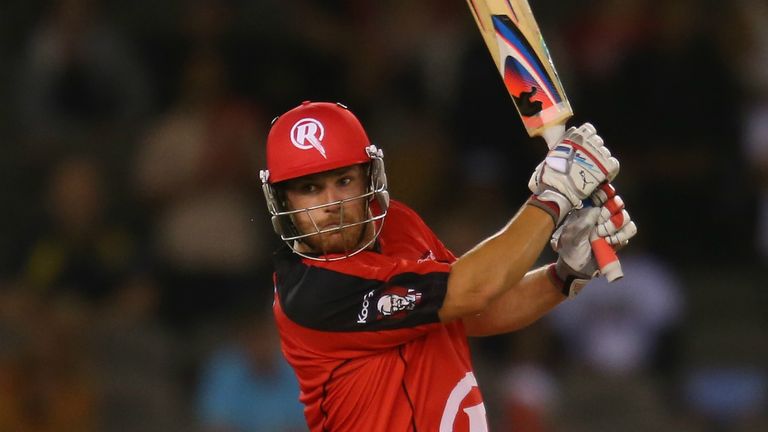 Aaron Finch: has rattled up 221 runs for the Renegades so far in four knocks
