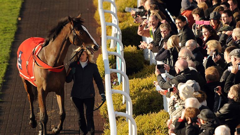 Kauto Star: Impressed his new rider as he begins new life