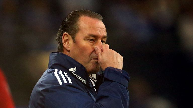 Huub Stevens: Sacked by Schalke following loss to Freiburg
