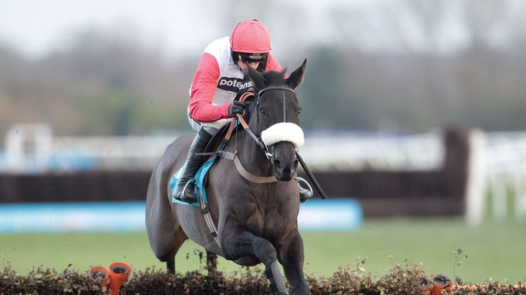 Big Buck's: Unlikely to face Quevega