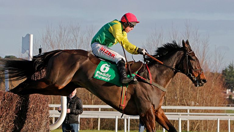 Sizing Europe: All bases covered for Cheltenham