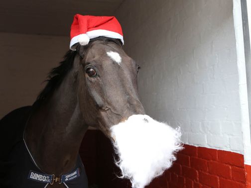 Cloudy Lane gets into the Christmas spirit