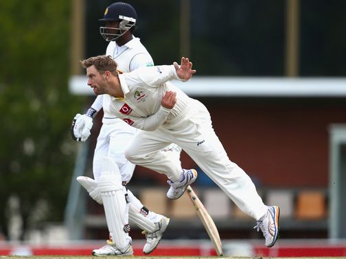 Matthew Wade: Turned his arm over in Hobart