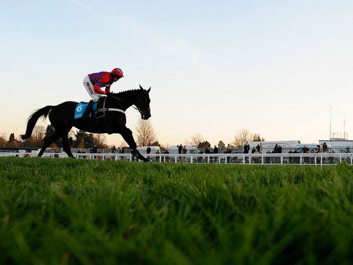 Sprinter Sacre heads seven entries for Saturday's feature