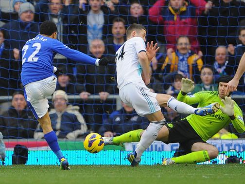 Steven Pienaar gives Everton the lead