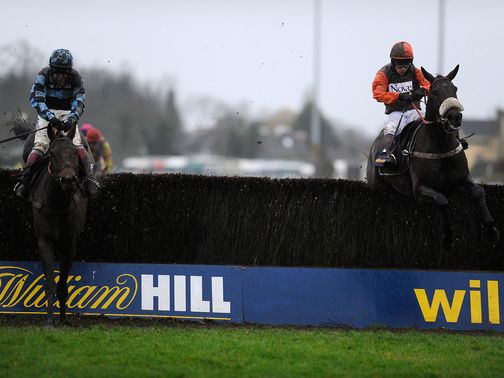 Captain Chris (left): Cautious pick for the big race at Ascot