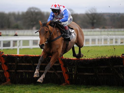 Reve De Sivola: Impressive when winning at Ascot