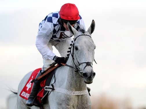Simonsig: Could still run before the Arkle at Cheltenham