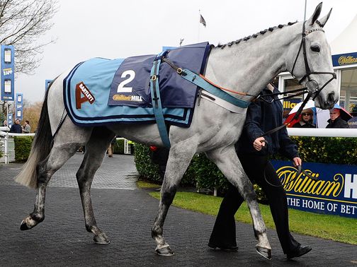 Simonsig: Entered for Newbury on Saturday