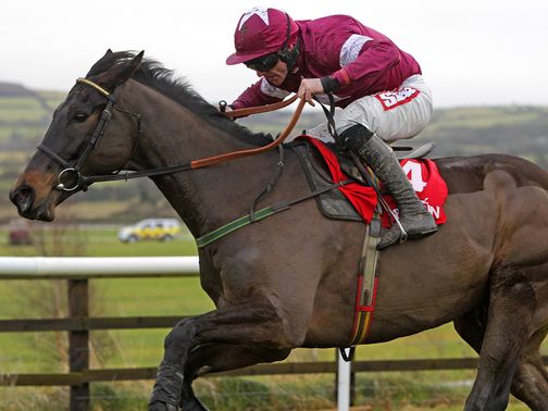 Sir Des Champs: Don't give up on him for the Gold Cup