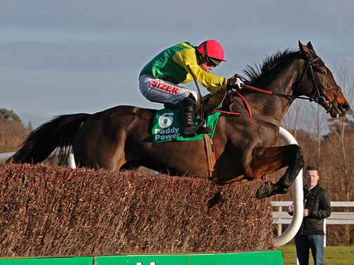 Sizing Europe: Only two options left at Cheltenham
