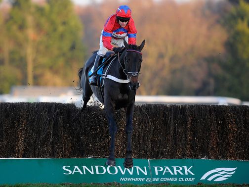 Sandown: Provisional plan in place
