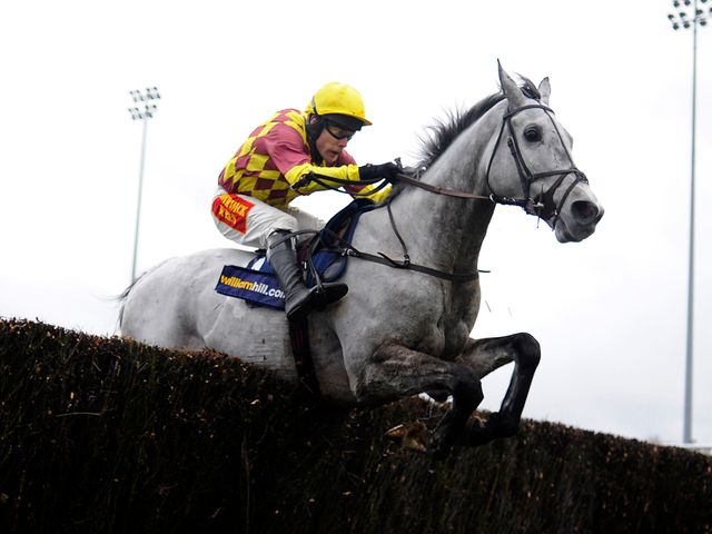 Dynaste: Brilliant winner of the Feltham