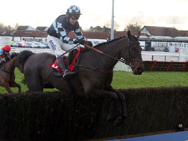 Menorah leads Hunt Ball over the final fence