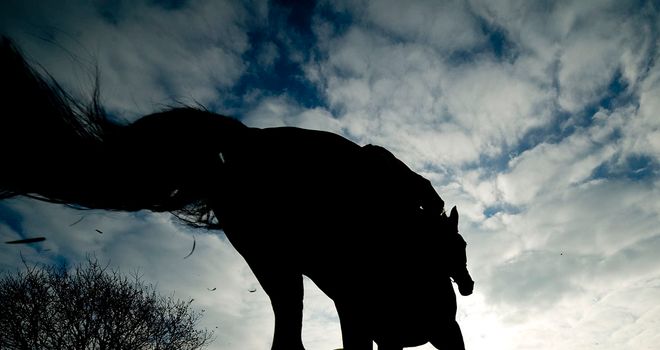 Philip Freedman: New chairman of the Horsemen's Group
