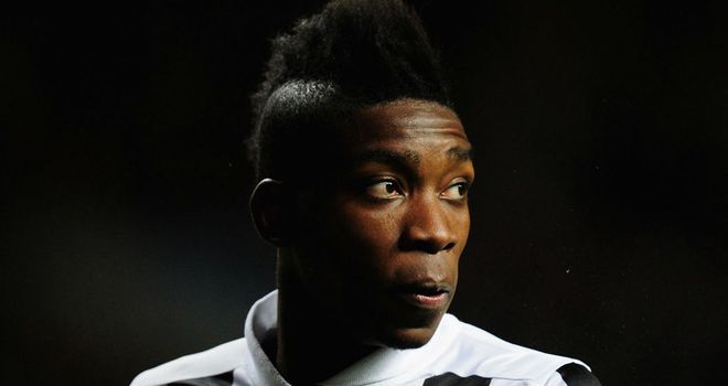 Sammy Ameobi: Could be involved when Newcastle host QPR at St James' Park on Saturday