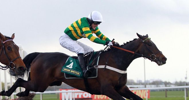 Darlan: Out to stake his Champion Hurdle claims at Kempton