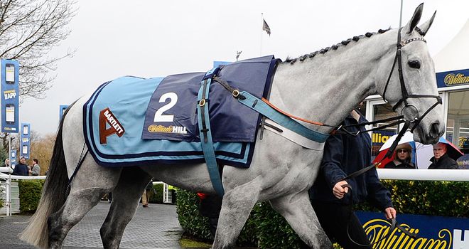 Simonsig: Entered for Newbury on Saturday