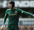 Petr Cech: Suffered a groin injury in the 40th minute of Chelsea's win over Everton