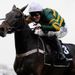 ...and goes on to score by four lengths. He's the new Champion Hurdle favourite.