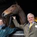 Kauto Star prepares to parade before a race he won five times