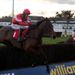 Sanctuaire leads French Opera through the early stages of the Desert Orchid Chase..