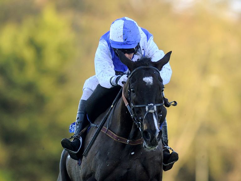 Bold Sir Brian: Could run in the Sky Bet Chase at Doncaster