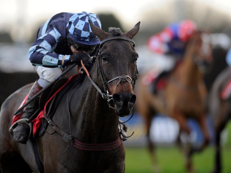 He leaves connections pondering what race to head to at the Cheltenham Festival