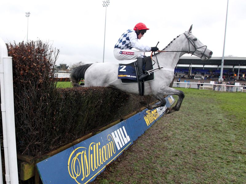 Simonsig is a brilliant winner of the Wayward Lad Novices' Chase...