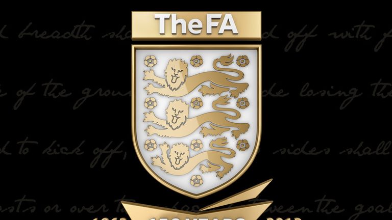 Football Association: Under fire from government committee