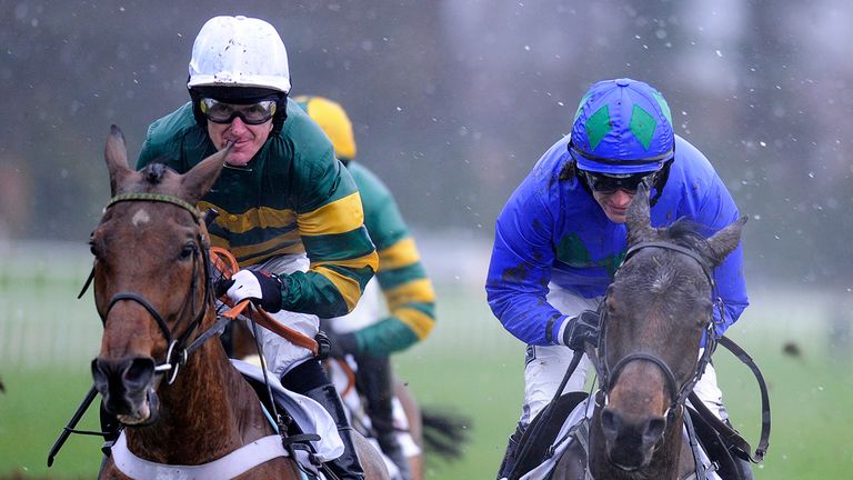 Binocular (left) ultimately proved no match for Hurricane Fly on Sunday