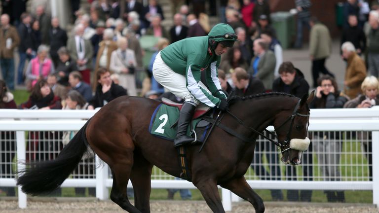 Court Minstrel: Handicap option at the Cheltenham Festival