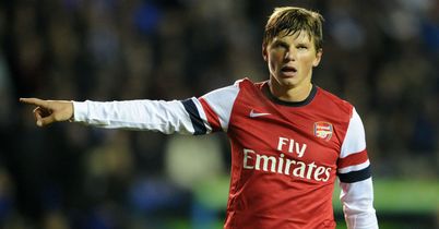 Andrey Arshavin: Could be heading out of Arsenal in the near future