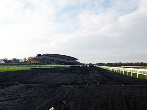 Ascot: Under the covers but now snow is forecast