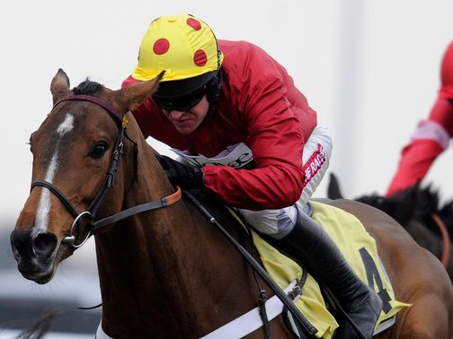 Ericht strikes for the Nicky Henderson team