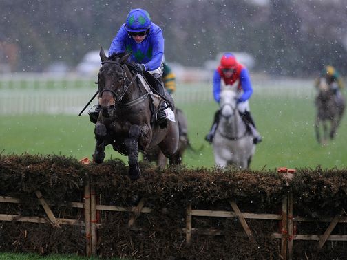 Hurricane Fly: Defending his Champion Hurdle title