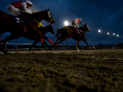 Kempton: Evergreen Forest is the tip