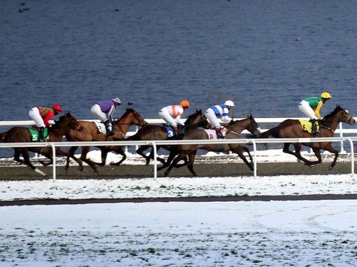 There's been a few gambles at Kempton