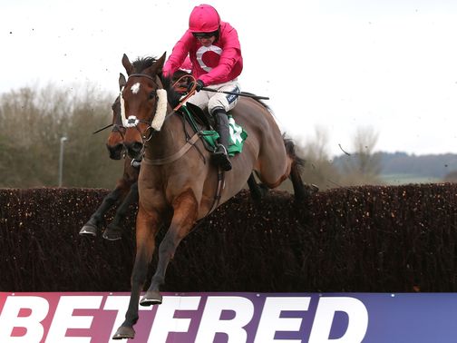 Keppols Hill: Gets the nod in the feature handicap at Sandown