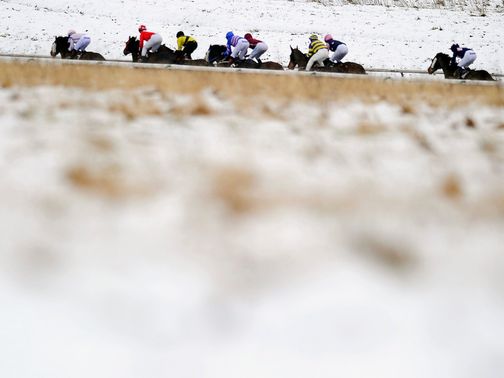Lingfield: Snowy scene