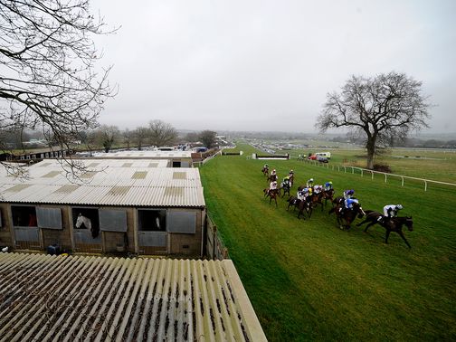 Plumpton: Raceday inspection