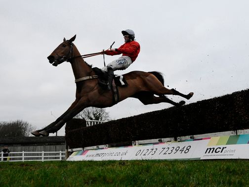 Well Refreshed gets in close to the last but is clear of his Plumpton rivals